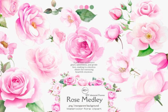 Download Pink Roses Watercolor Flowers Png - Watercolor flowers png Collection