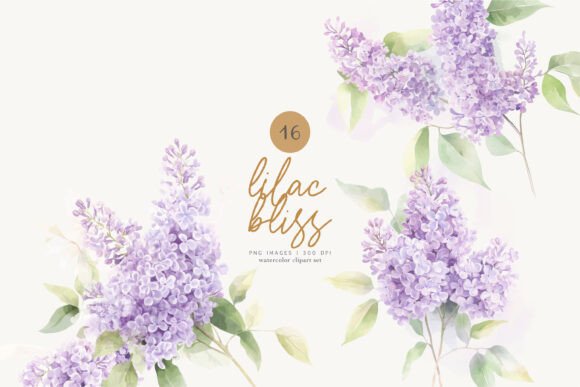 Download Lilac Florals Watercolor Flowers Png - Watercolor flowers png Collection