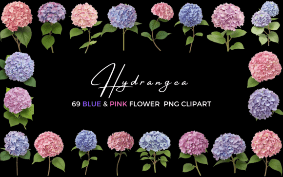 Download 69 Hydrangea Blue &amp; Pink Flower Clipart - Pink flower clipart Collection